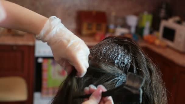 Женское окрашивание волос — стоковое видео