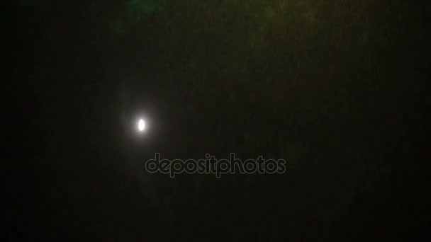 Feux d'artifice lumineux dans le ciel nocturne lors d'une chute de neige 