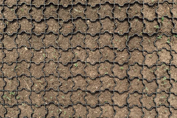 El suelo dividido por la rejilla especial plástica para la plantación de las plantas . —  Fotos de Stock
