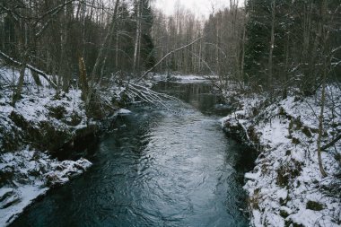 Kışın orman şelale