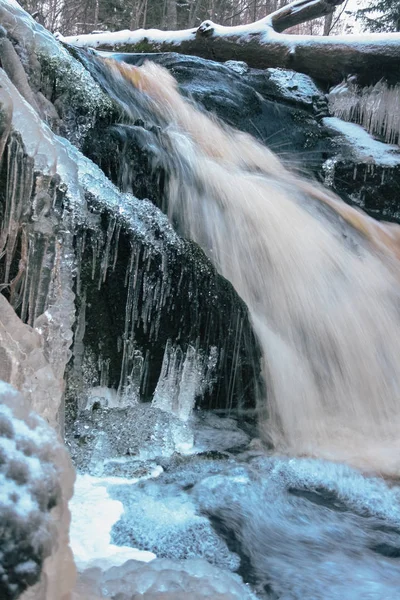 Forest waterfall in winter — Stock Photo, Image