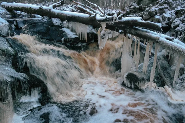 Forest waterfall in winter — Stock Photo, Image