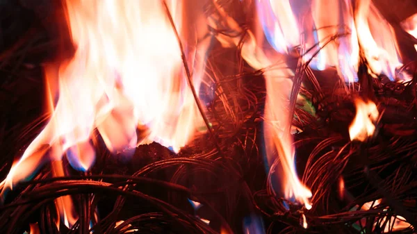 화재에 와이어를 발사 — 스톡 사진