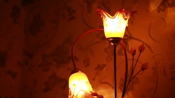 Lampe design en forme de fleur — Video