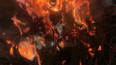 Elektrikli bakır yanan ateş ağır çekim video teller.