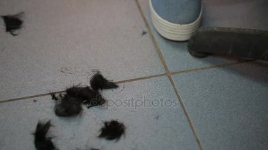 Kamera hareket eder ve yerdeki kırpılmış siyah saç kaldırır.