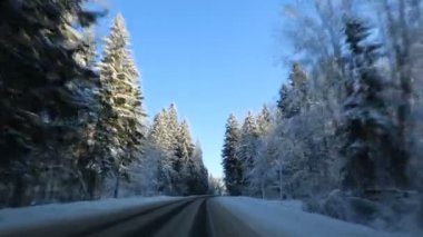 Araç sürüş kış snowy orman zaman yol araba Önden Görünüm kamera monte.