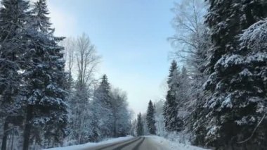 Araç sürüş kış snowy orman zaman yol araba Önden Görünüm kamera monte.