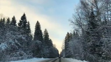 Araç sürüş kış snowy orman zaman yol araba Önden Görünüm kamera monte.