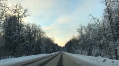 Araç sürüş kış snowy orman zaman yol araba Önden Görünüm kamera monte.
