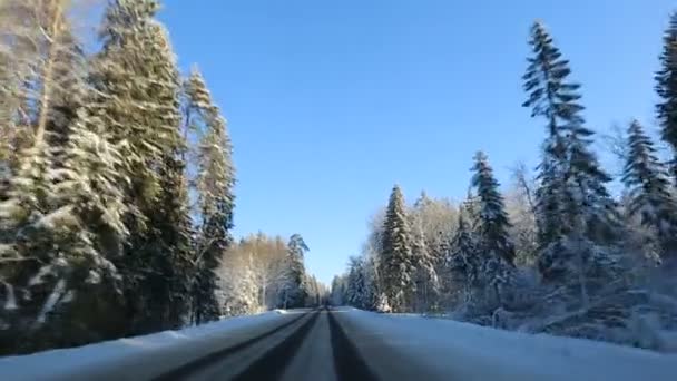 Vista frontal da câmera montada no carro quando veículo dirigindo inverno neve floresta estrada . — Vídeo de Stock