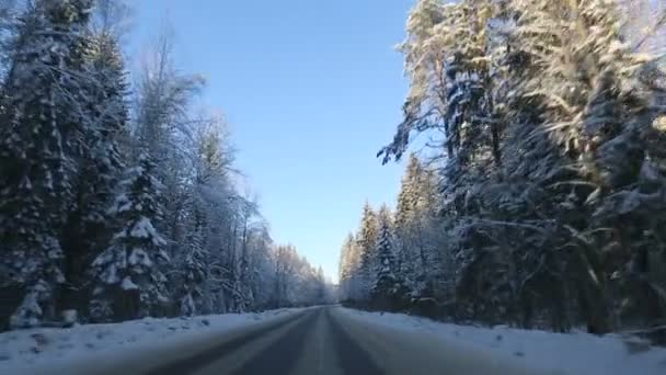 Vista frontal de la cámara montada en el coche cuando el vehículo conduce invierno nevado bosque carretera . — Vídeo de stock