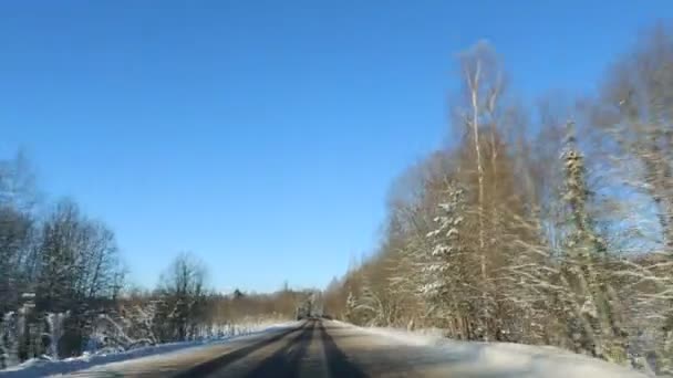 Vista frontal de la cámara montada en el coche cuando el vehículo conduce invierno nevado bosque carretera . — Vídeos de Stock