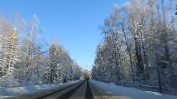 Vista frontal de la cámara montada en el coche cuando el vehículo conduce invierno nevado bosque carretera . — Vídeos de Stock