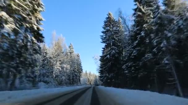 Vista frontal da câmera montada no carro quando veículo dirigindo inverno neve floresta estrada . — Vídeo de Stock