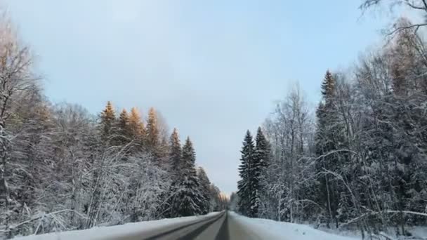 Vue de face de la caméra montée sur la voiture lorsque le véhicule conduit hiver route forestière enneigée . — Video