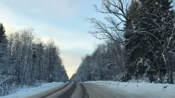 Vista frontal de la cámara montada en el coche cuando el vehículo conduce invierno nevado bosque carretera . — Vídeos de Stock