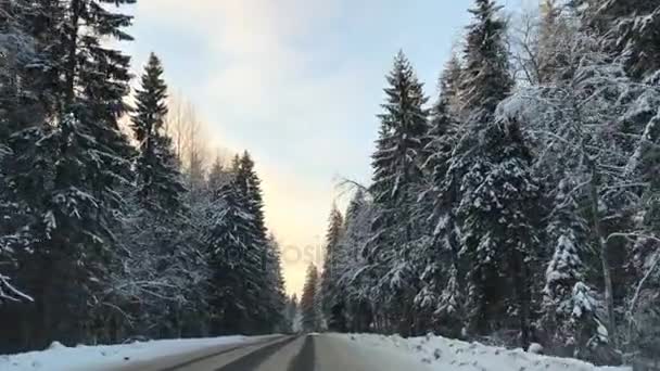 Čelní pohled z připojené kamery, když vozidlo jízdní zimní zasněžené lesní silnice. — Stock video