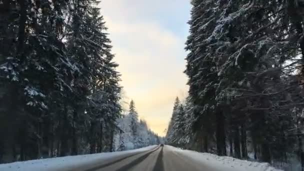 Front view from car mounted camera when vehicle driving winter snowy forest road. — Stock Video