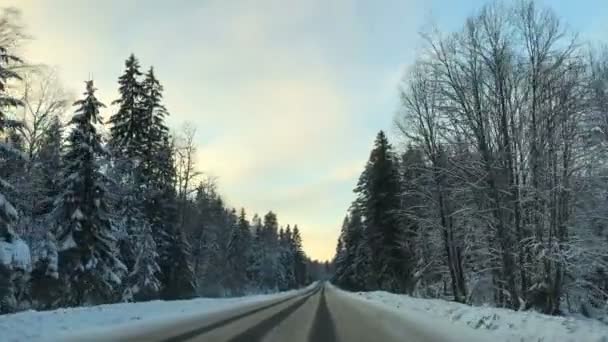 Autó szerelt kamerából elölnézete, amikor a jármű vezetési téli havas erdei út. — Stock videók