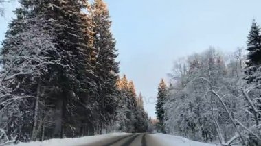 Araç sürüş kış snowy orman zaman yol araba Önden Görünüm kamera monte.