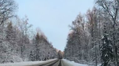 Araç sürüş kış snowy orman zaman yol araba Önden Görünüm kamera monte.