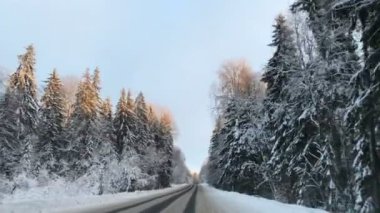 Araç sürüş kış snowy orman zaman yol araba Önden Görünüm kamera monte.