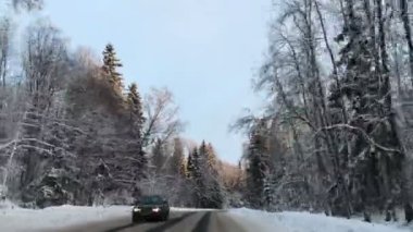 Araç sürüş kış snowy orman zaman yol araba Önden Görünüm kamera monte.