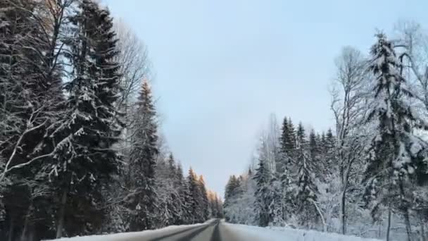 Vue de face de la caméra montée sur la voiture lorsque le véhicule conduit hiver route forestière enneigée . — Video