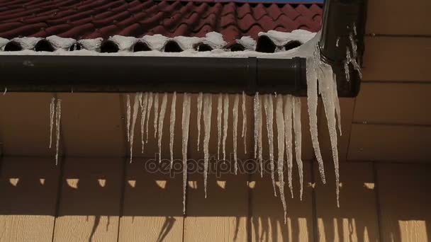 Viele Eiszapfen hängen auf Hausdach. — Stockvideo