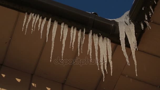 Birçok buz sarkıtları evin çatı üzerinde asılı. — Stok video