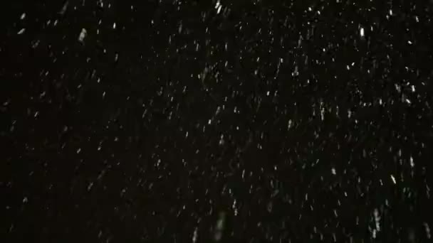 Zimní sněžení v noci: pohled zdola. — Stock video
