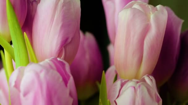 Букет рожевих тюльпанів повільно обертається на своїй осі . — стокове відео