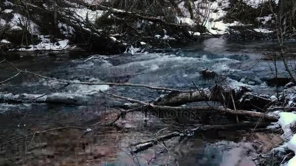 Movimento del fiume all'inizio della primavera . — Video Stock