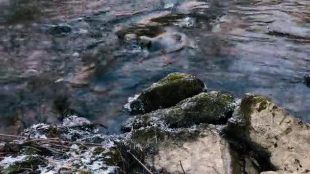 Mouvement de la rivière au début du printemps . — Video