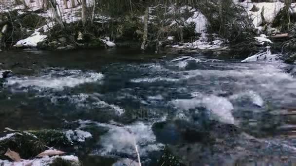 Mouvement de la rivière au début du printemps . — Video