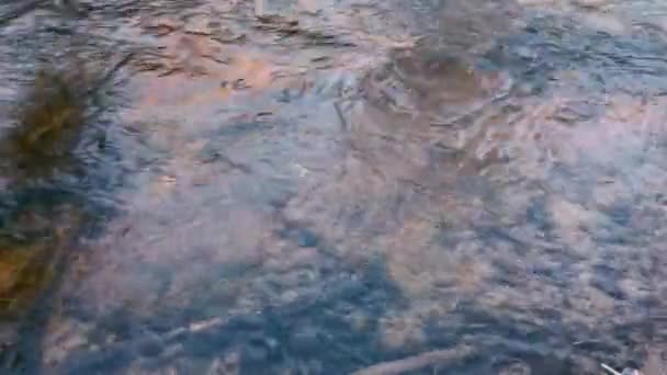 Движение реки в начале весны . — стоковое видео