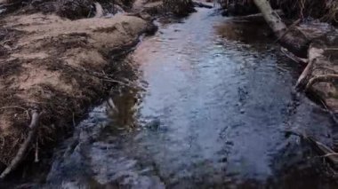 Nehir içinde belgili tanımlık vahşi erken baharda hareketi.
