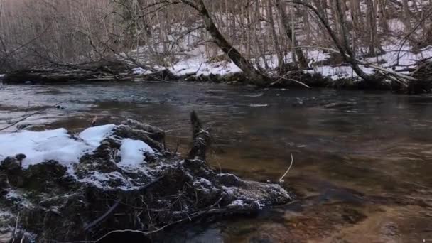 Rörelse av floden i vilt tidigt på våren. — Stockvideo