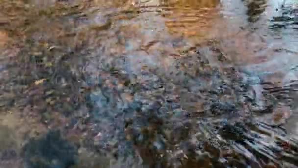 Movimento do rio no início da primavera . — Vídeo de Stock