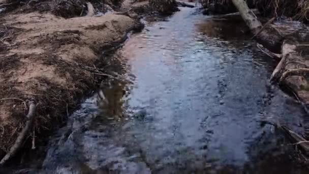 Movimiento del río en la naturaleza a principios de primavera . — Vídeos de Stock