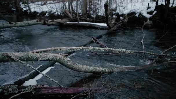 Movimiento del río en la naturaleza a principios de primavera . — Vídeos de Stock