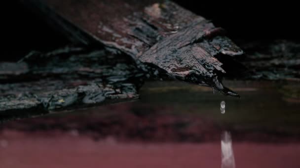 Gotas de agua fluyen desde las viejas piezas de madera húmedas y rotas . — Vídeo de stock