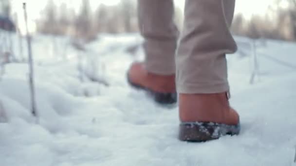 Kameran förföljer mänskliga ben som går genom snön på dagtid. — Stockvideo