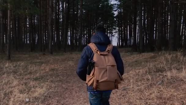 Камера переслідує людину і злітає, коли він ходить з рюкзаком в лісі . — стокове відео