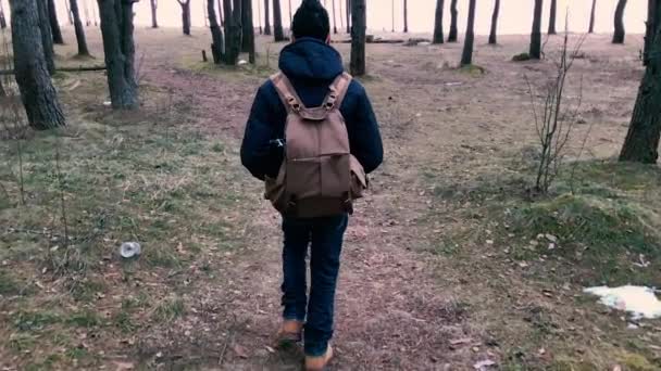 La cámara persigue a la persona y se va mientras camina con una mochila en el bosque . — Vídeos de Stock