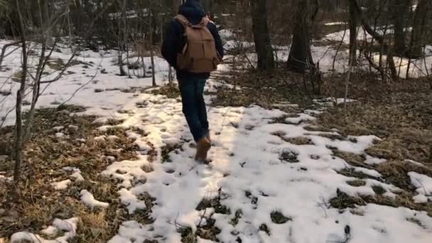 Kamera kişi kovalayan ve ormandaki bir sırt çantası ile yürüyor gibi çıkartıyor. — Stok video
