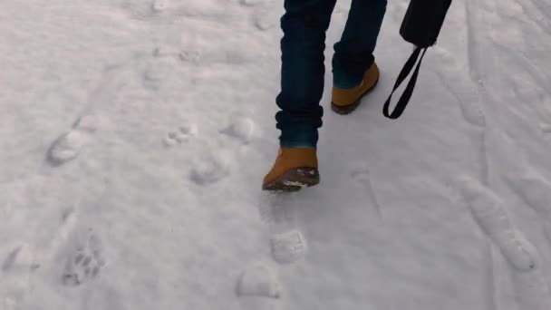 Kış boyunca körfezin kıyısında yürüyüş iş çantalı adam. Arkadan Görünüm. — Stok video