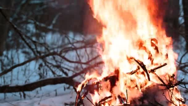 Disparando alambre en el fuego — Vídeo de stock