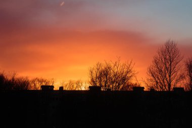 Bir çok katlı bina ve Kuru ağaçlar üzerinde renkli günbatımı.